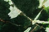 Polished Chrome Chalcedony Slab - Western Australia #221441-1